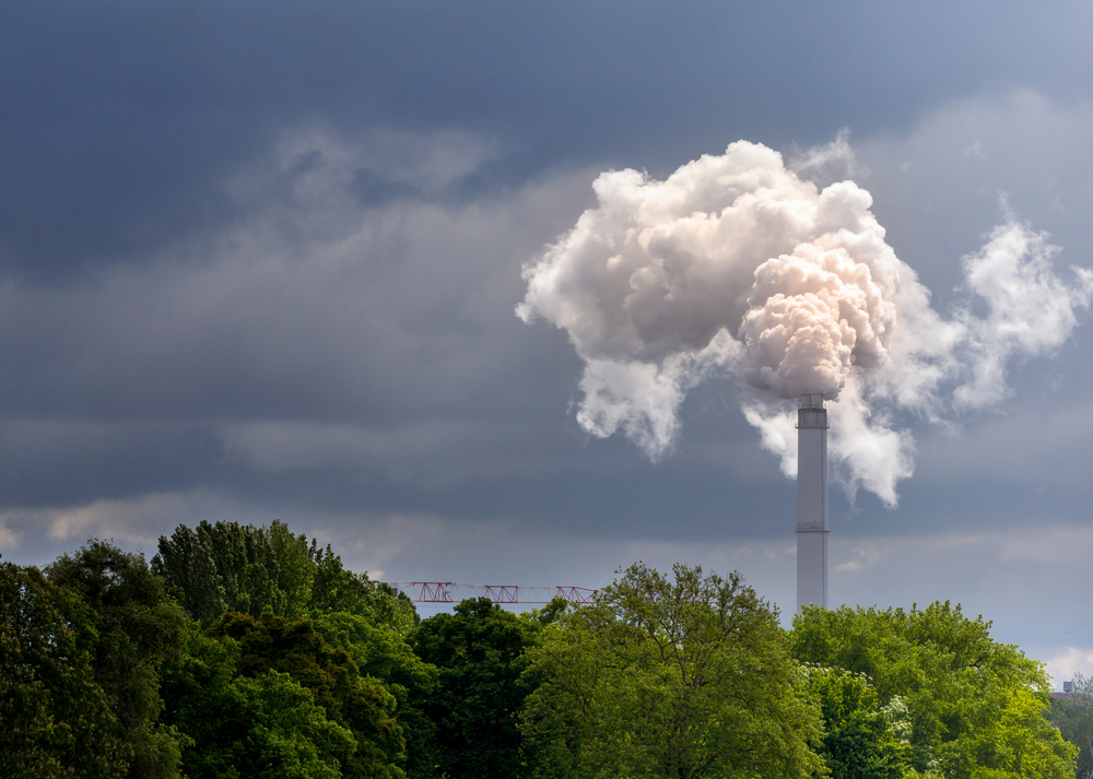 Carbon Emissions Affect the Ecosystem