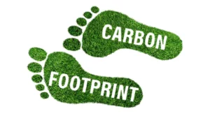 Calculate Carbon Footprint