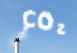 Carbon Offset emissions