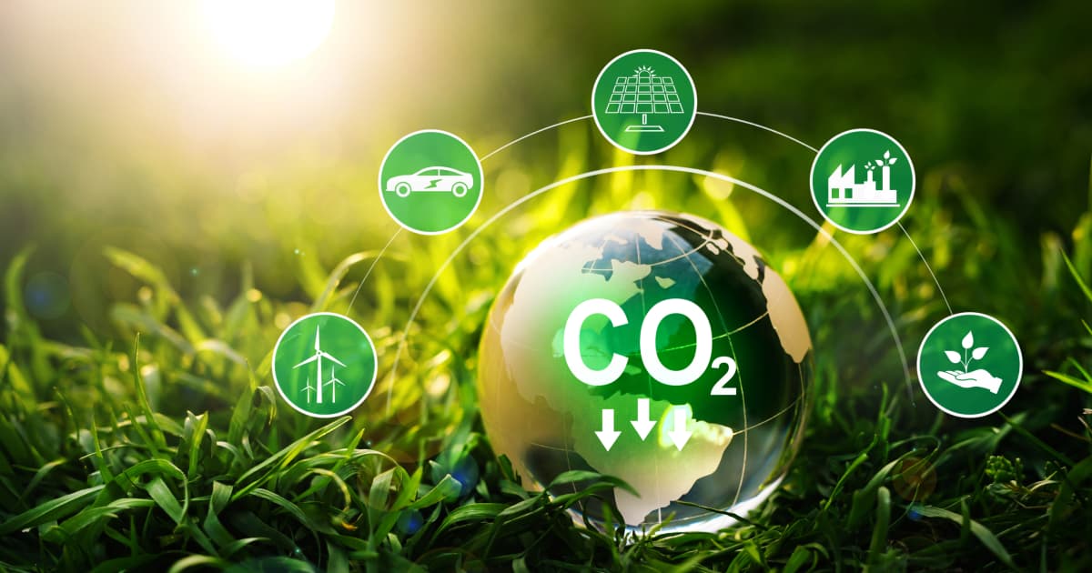 Carbon Offsets and Stakeholder Partnerships
